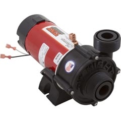 420420, Vita Spa H.E.E.T PUMP ASSEMBLY CIRCULATION PUMP: 220 VOLTS (Special Order) 