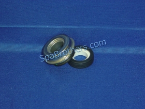 421019, Vita Spa Pump Seals  